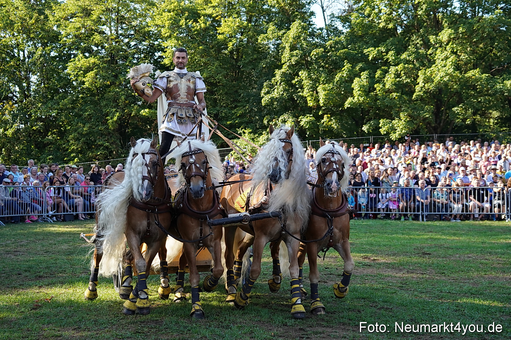 Pferde und Fohlenschau 2022 0021 